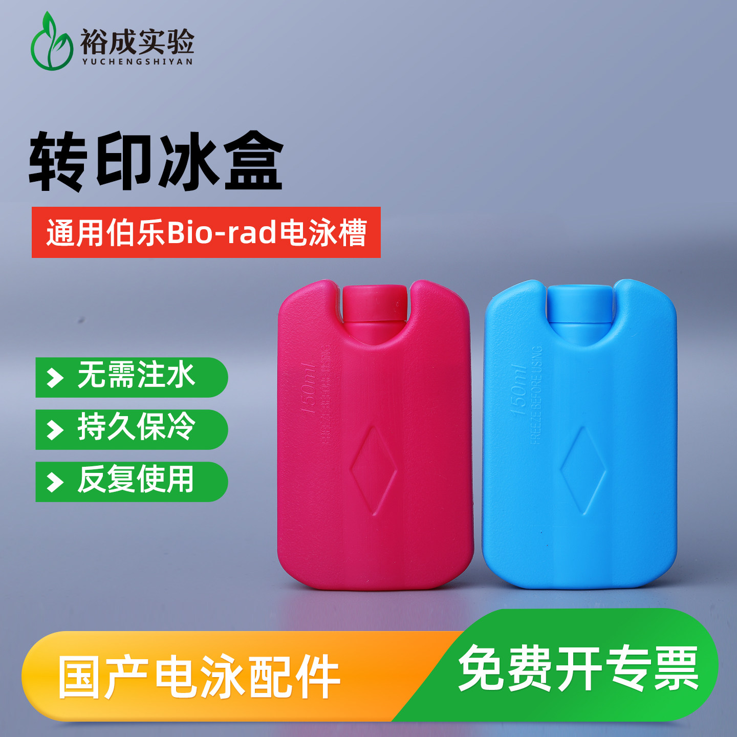 Western blot 转印冰盒 电转小冰盒 转印用 湿转冰袋 HDPE冰盒,工业油品/胶粘/化学/实验室用品,其他实验器材,淘宝优惠券,粉丝福利购,淘宝优惠卷