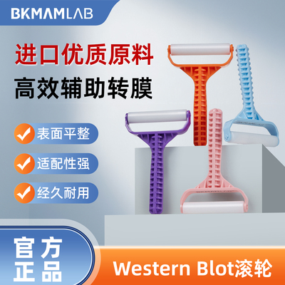 比克曼生物Western Blot转膜滚轮气泡WB辅助转膜经久耐用实验器材