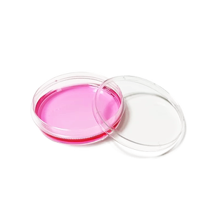 WHB 60mm 100mm细胞培养皿一次性贴壁TC处理带齿易握型培养皿