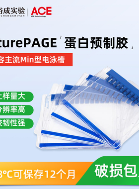 Western blot 蛋白预制胶 sds-page 电泳蛋白胶 MOPS 体系电泳胶