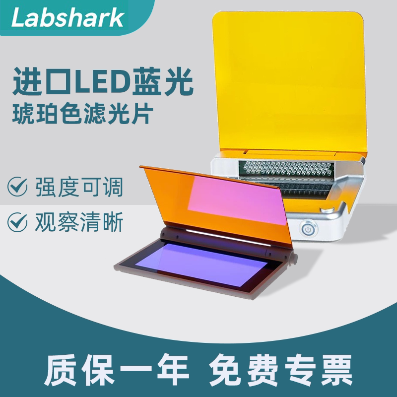 比克曼生物 进口LED蓝光切胶仪化学实验教学仪器强度可调观察清晰