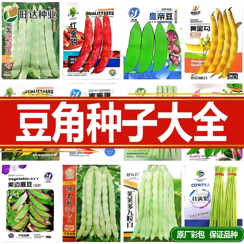 蛇豆角种子大全无架豆长豇豆种籽图片