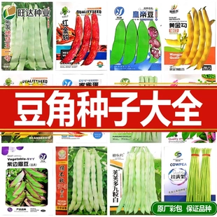 蛇豆角种子大全无架豆长豇豆种籽无架地豆王无筋芸豆四季蛇瓜种子