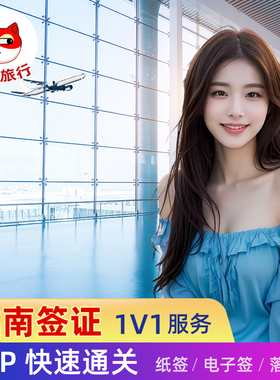 越南入境通关代填表免排队旅游签证快速通关服务机场 夜间服务