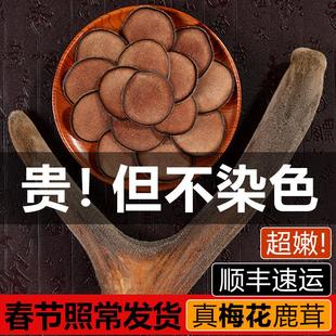 整根整枝中药材人参鹿鞭泡酒药材灵芝干礼盒养生干 梅花鹿茸片正品