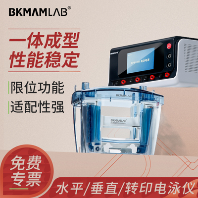 比克曼生物转印电泳仪水平电泳槽
