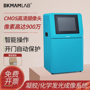 比克曼生物全自动凝胶化学发光成像系统WB实验紫外荧光化学发光