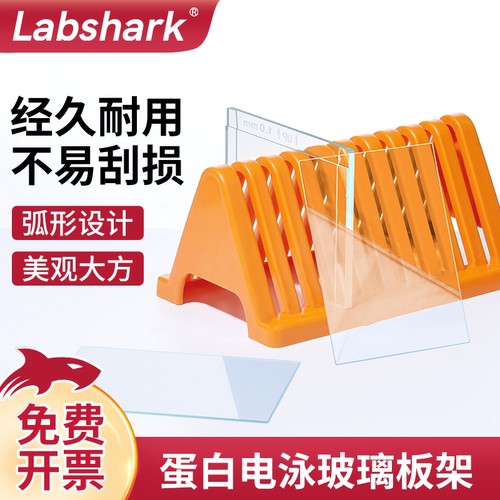 Labshark蛋白电泳玻璃板架沥水架
