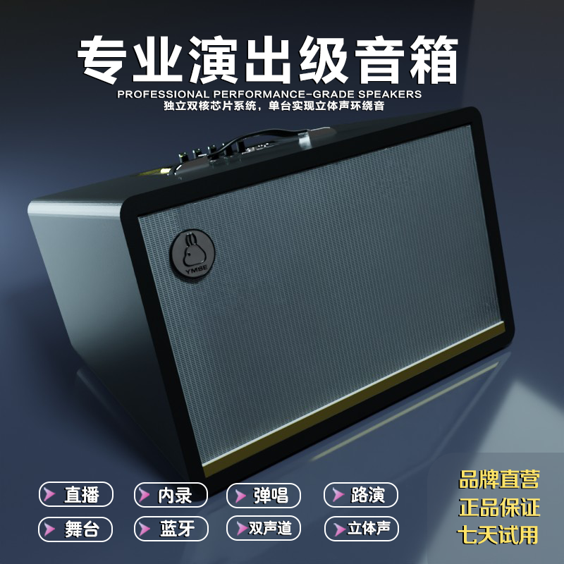 专业演出级蓝牙音箱K歌无线直播舞台立体声弹唱乐器音响户外话筒