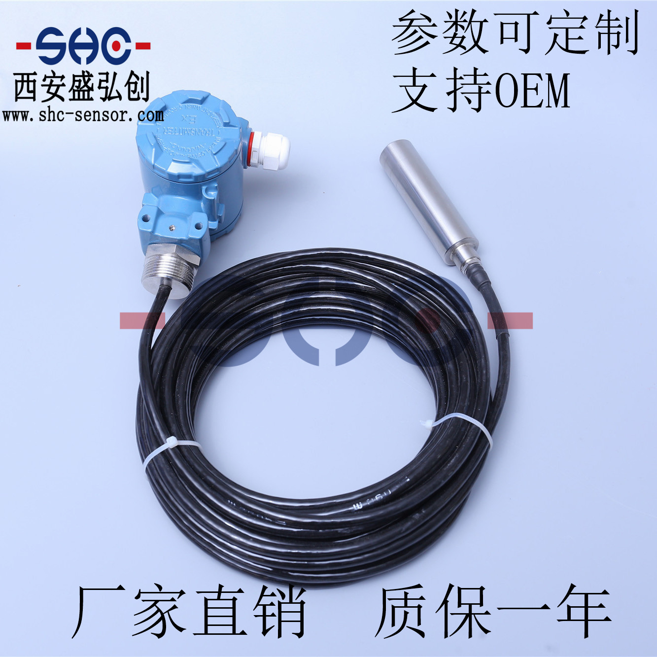 DS2650液位变送器分体投入式水位传感器厂家直销质保一年