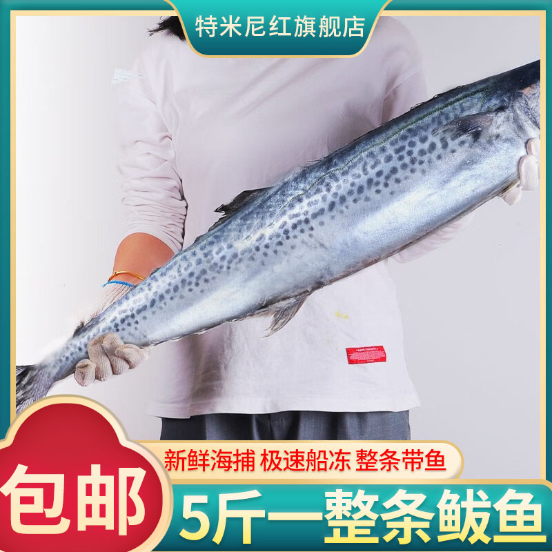 大鲅鱼新鲜船冻5-20斤可选整条