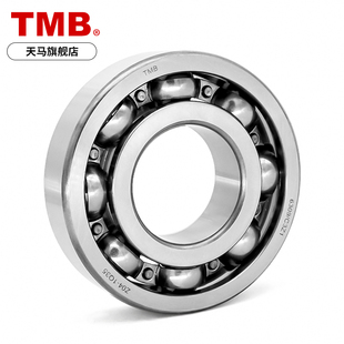 天马轴承TMB 6405 6406 6407 6408 6409 6410 6411-2RZ 2RS/C3Z1