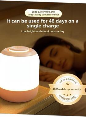 Rechargeable desk lamp for bedroom bedside small night light