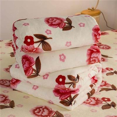 Flannel blanket sleeping towel small quilt pad coral blanket
