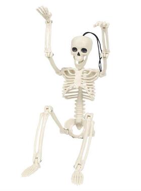 Halloween Skeleton Plastic Model 40cm Skeleton Halloween Gar