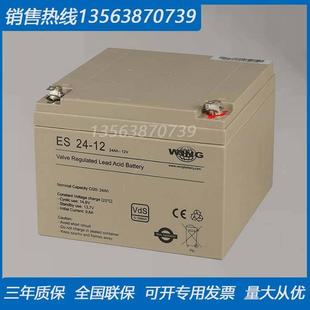 铅酸免维护 WING蓄电池12v65ah 德国进口 应急备用电源 ESH65