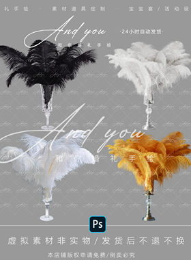 D006 小众白橙黑色羽毛婚礼道具摆件psd源文件婚礼装饰鸵鸟羽毛
