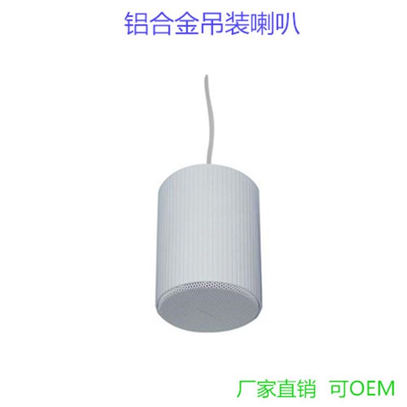 餐厅店铺背景音乐吊装音响喇叭咖啡厅圆柱形悬挂式音箱带同轴高音