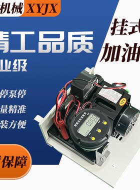 抽油泵柴油电动12mv24v220v伏手提吨桶挂式计量加油机抽油神器