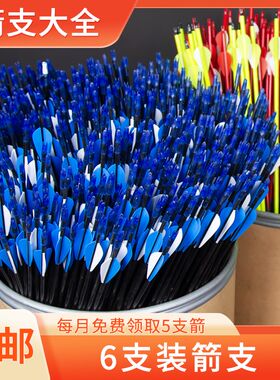 弓箭箭支箭头射箭配件金属练习箭复合反曲弓传统玻纤箭混碳真羽箭