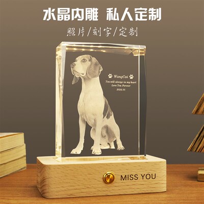 宠物纪念品定制创意礼物狗狗猫咪照片diy水晶灯相册3D内雕送朋友