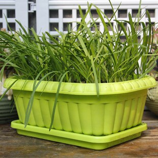 加厚阳台种菜盆神器家用韭菜盆长方形塑料花盆家庭室内蔬菜种植箱