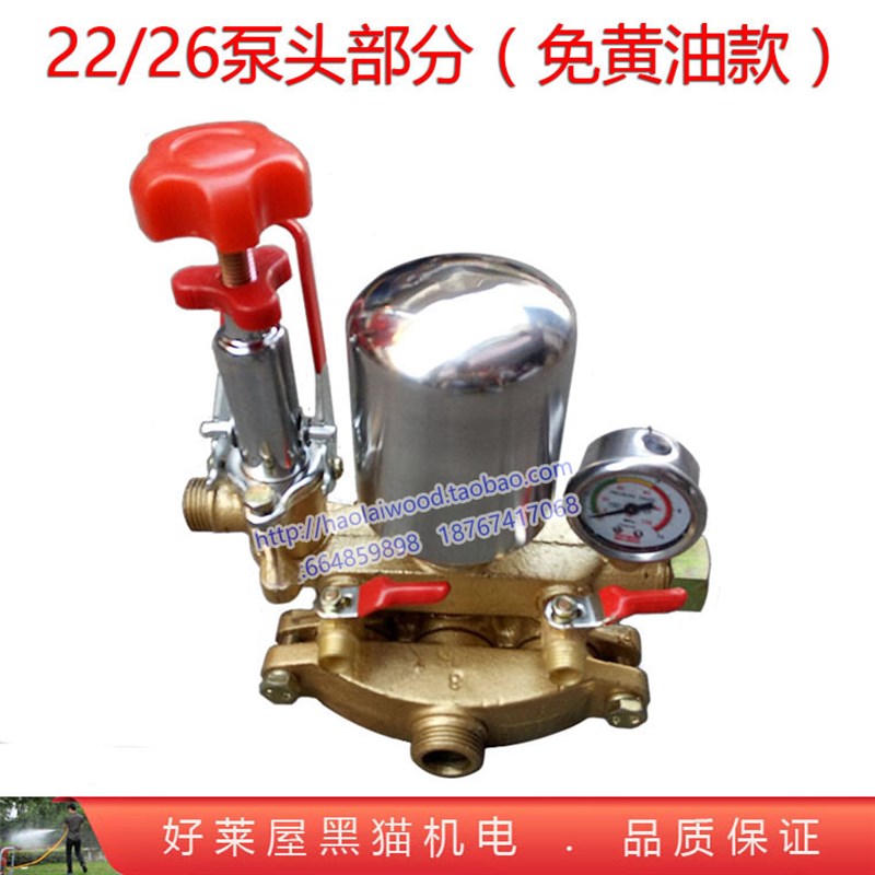 22 26 T28型柱塞泵622 T30打药泵头部16压力表调压阀缸体四大件21