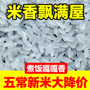 东北大米2025年新米10斤长粒香5kg香米10kg珍珠米公斤五常黑龙江
