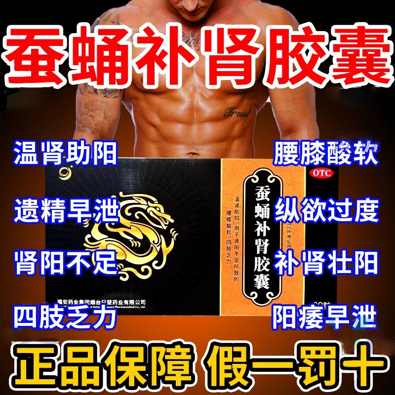 蚕蛹补肾胶囊正品官方旗舰店四肢乏力肾阳不足补肾固精益气固肾