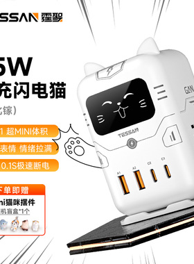 TESSAN霆圣mini闪电猫桌面充电站氮化镓智能插座立式插排女生礼物