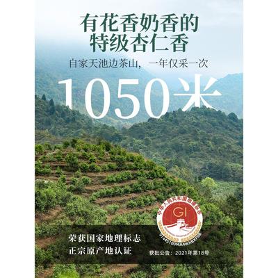 【迷你装】千元级杏仁香凤凰特级单枞茶锯朵仔 千米高山潮州茶叶