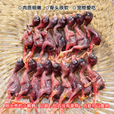 新鲜小鹌鹑肉冷冻乳嫩幼仔雏鸟现杀速冻肉类非冻干宠物零食生骨肉