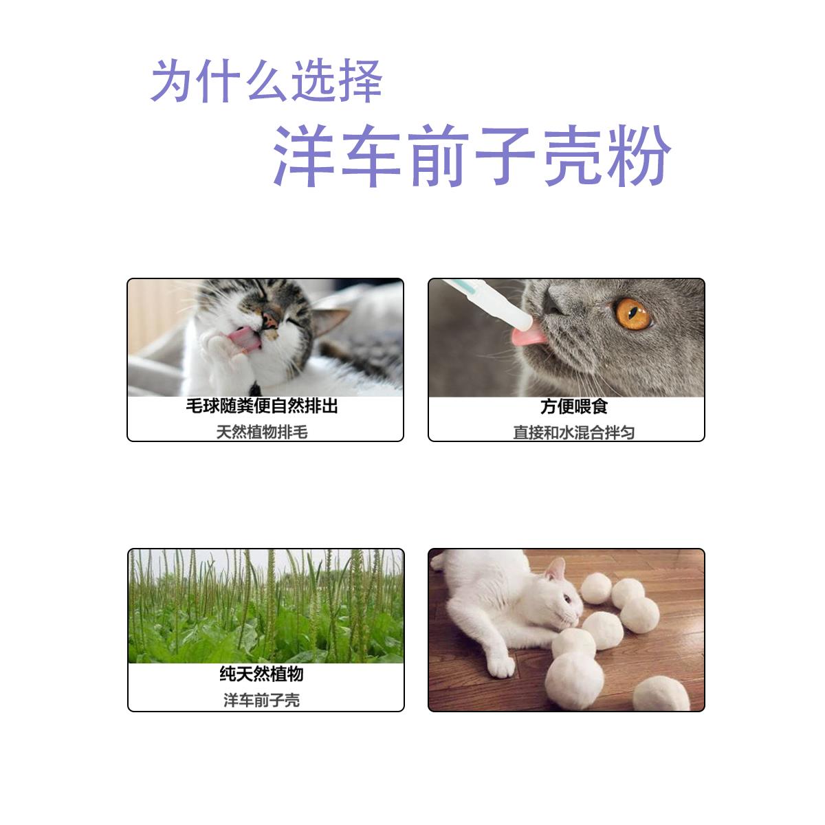 洋车前子壳粉猫咪狗狗宠物食用细粉化毛排毛缓解便秘圆苞果蔬拌饭