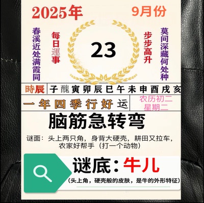 2025年新奥挂历台历日历生肖老黄历正品手撕日历一天一页适合家用