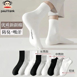 新疆棉袜子男女四季 纯色长中短抗菌透气吸汗防臭不起球高弹运动袜