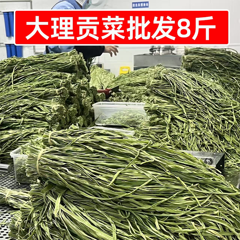 识蜀记大理贡菜基地批发8斤商用整箱干贡菜云南特产火锅凉菜食材