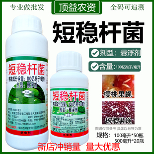 短稳杆菌杀虫剂杨梅果蝇茶尺蠖小菜蛾菜青虫棉铃虫卷叶螟生物农药