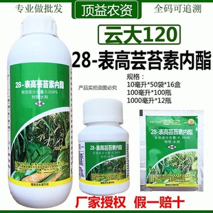 云大120芸苔素内酯增糖提高产量促进生长28表高芸苔素生长调节剂