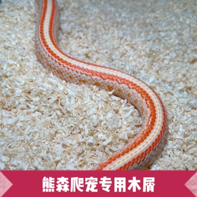 熊森爬宠垫材高温处理蛇木屑垫材专用低尘仓鼠蓝舌等爬宠通用垫料