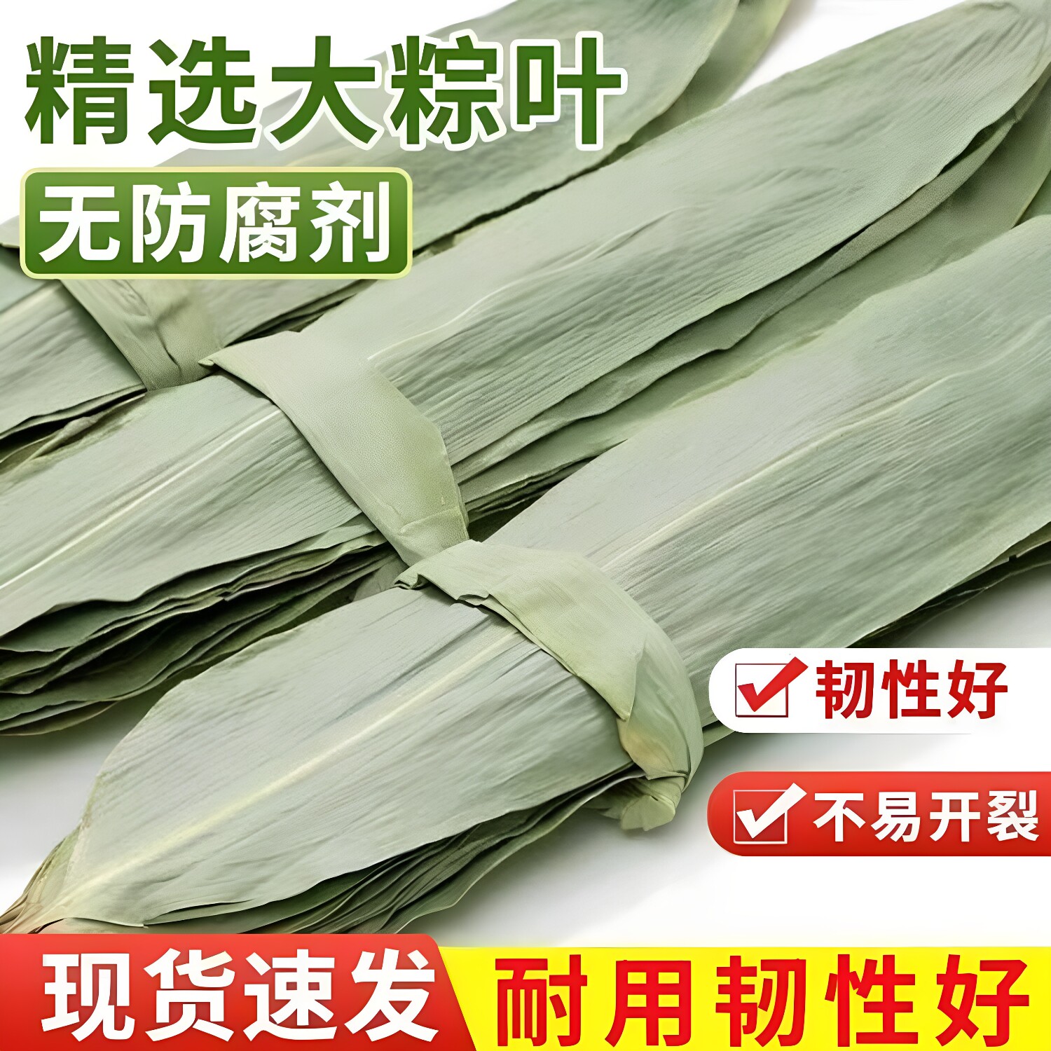 26年清香干粽叶端午节包粽子糯米新鲜粽子叶特棕叶宽大号批发