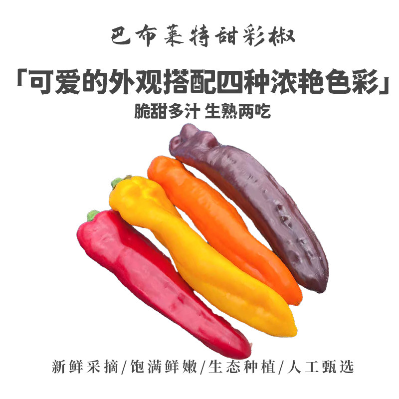 巴布莱特新鲜生吃水果彩椒400g生吃甜椒彩椒沙拉蔬菜顺丰包邮