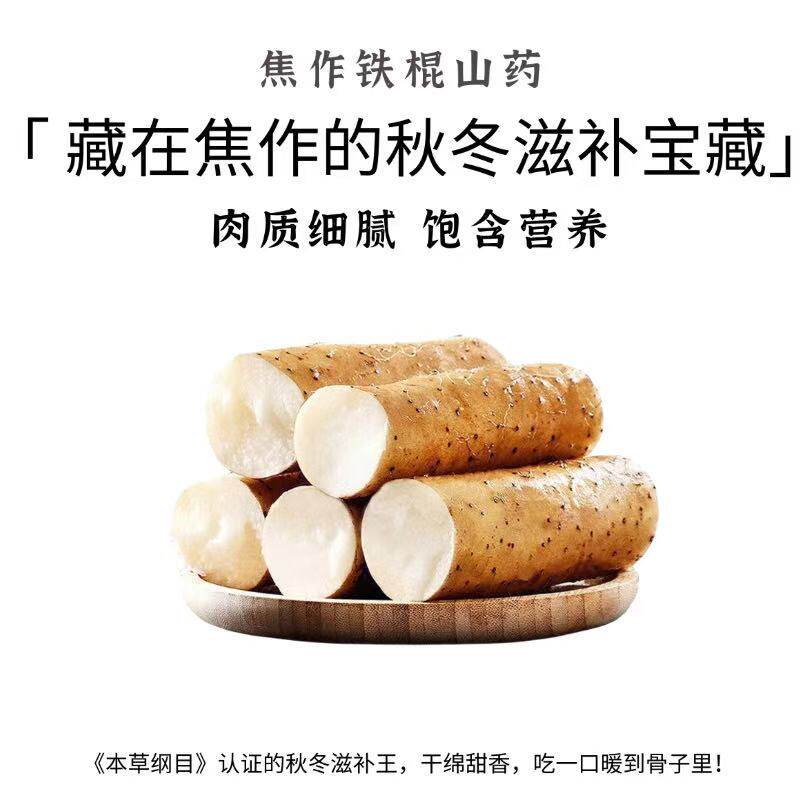 河南焦作铁棍山药新鲜肉质细腻滋补营养2500g粉糯煲汤顺丰包邮