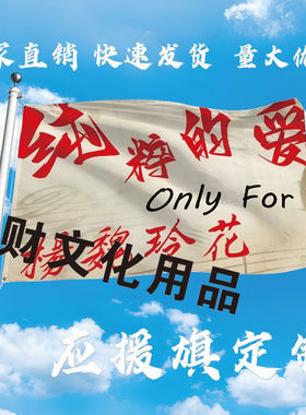 杨魏玲花大旗定制彩旗红旗户外演唱会应援旗制做音乐节旗帜