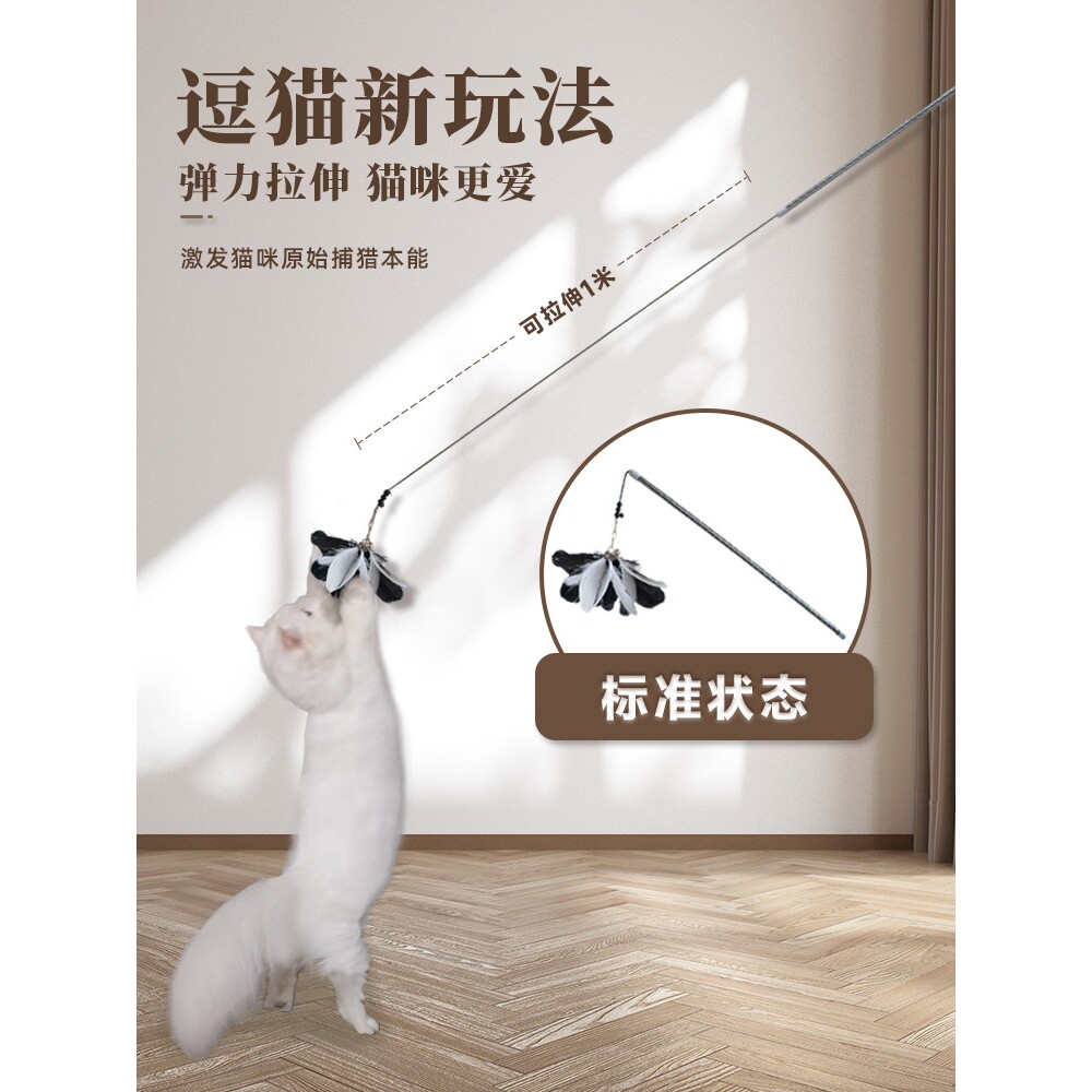 猫咪解闷自嗨玩具羽毛逗猫棒响纸球弹力绳弹簧可伸缩耐玩消耗体力