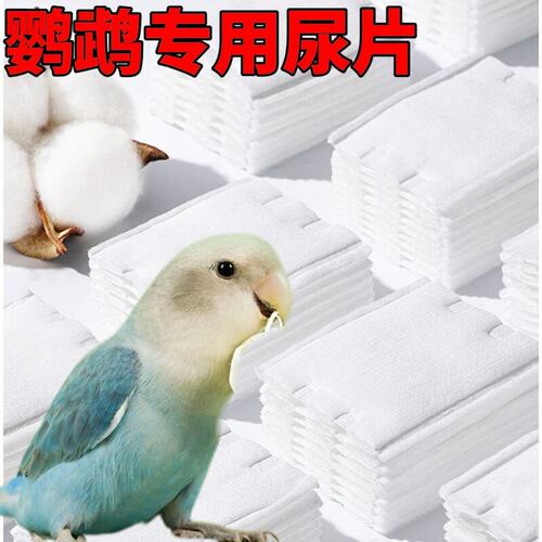 鹦鹉尿片尿不湿垫屎兜一次性隔尿布小鸟玄凤和尚虎皮牡丹用纸尿裤
