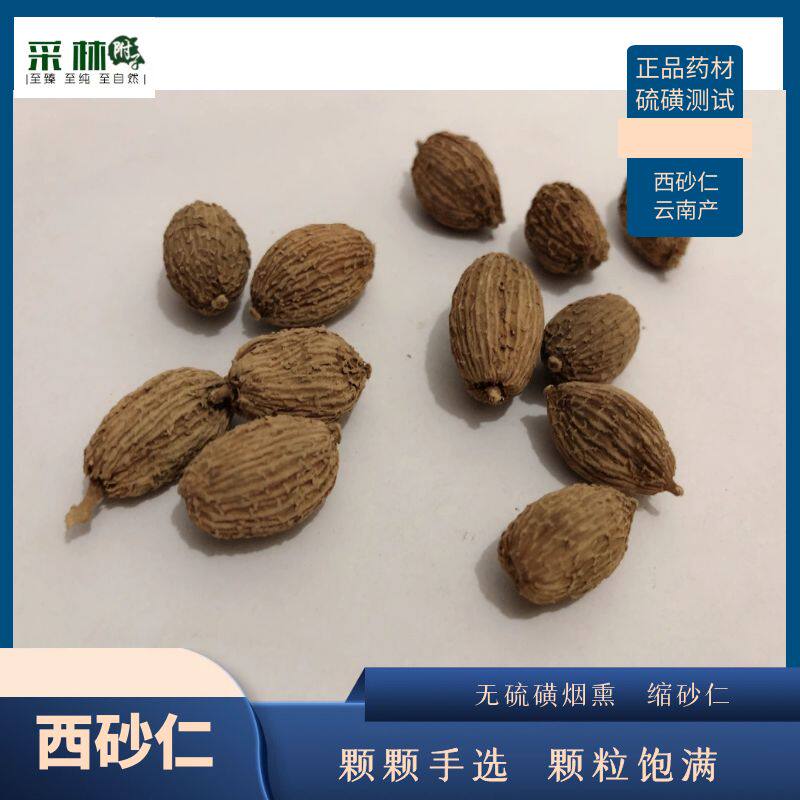 云南缩壳 绿壳砂仁缅甸砂仁西砂仁非杨春砂仁毛砂仁沙仁包邮无硫