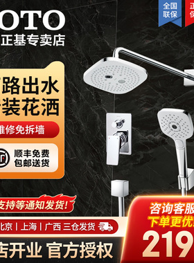 TOTO暗装花洒套装TBW02003/08009/02005/DB359家用沐浴冲澡05-F