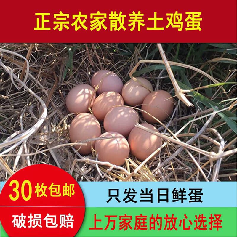 新鲜土鸡蛋贵州独山农家正宗散养跑山吃虫草鸡蛋月子孕妇宝宝辅食