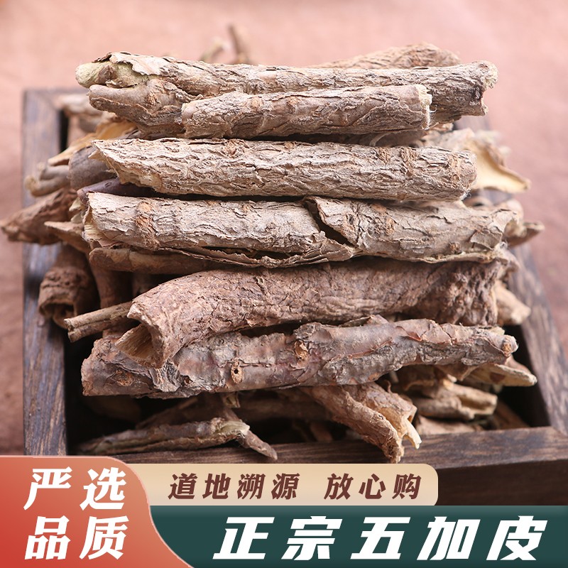 五加皮中药材南五加皮