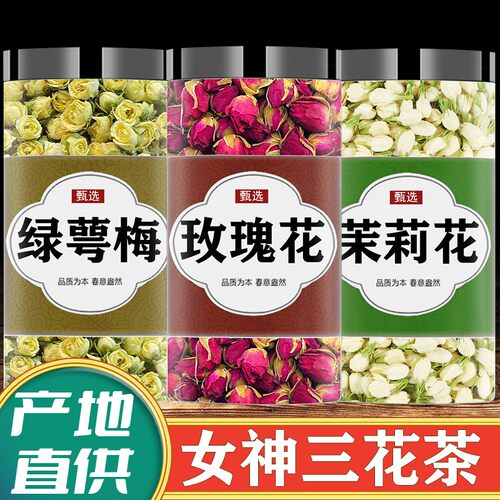绿萼梅玫瑰花茶茉莉花